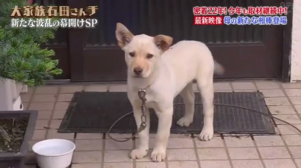 f:id:karuhaito:20190119184007j:plain f:id:karuhaito:20190119184007j:plain